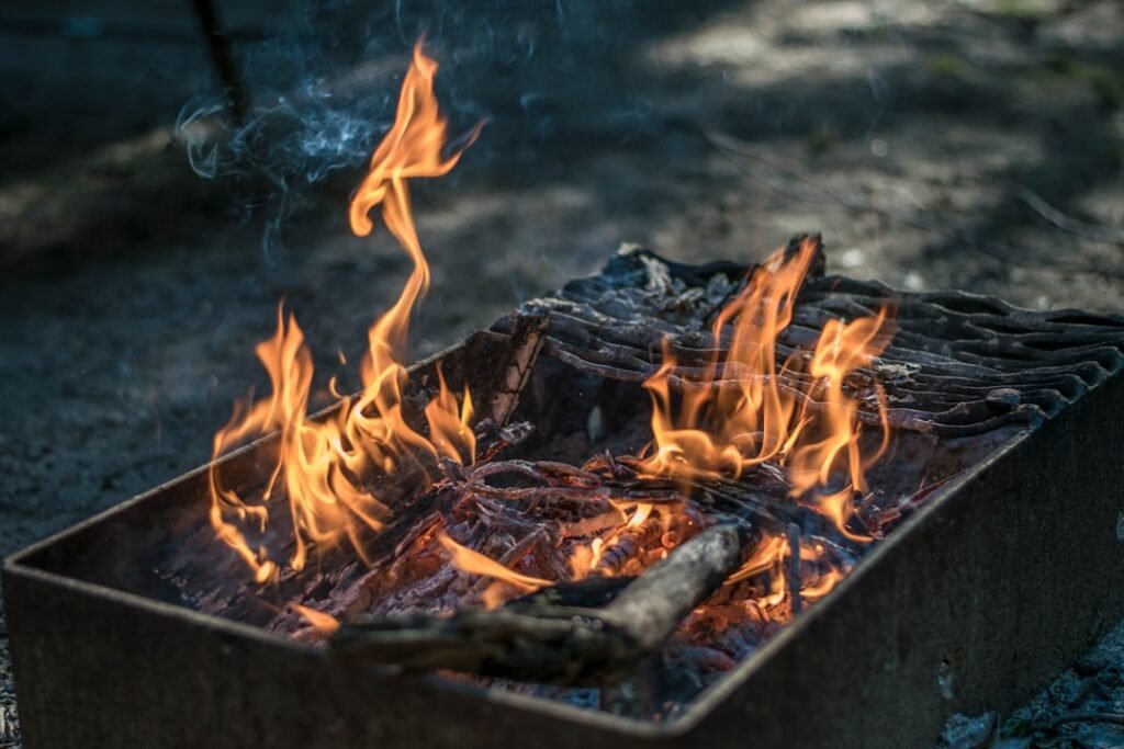 Photo Types of BBQ