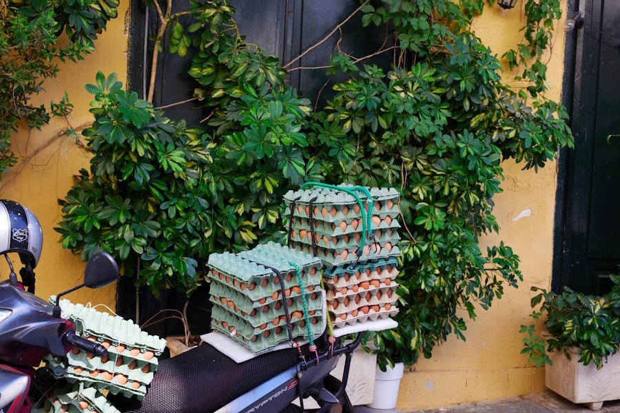 green egg